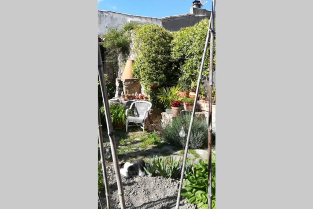 Gite La Remise, Maison Avec Jardin ลากราส ภายนอก รูปภาพ